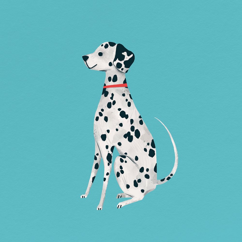 Dalmatian dog drawing on bright blue background