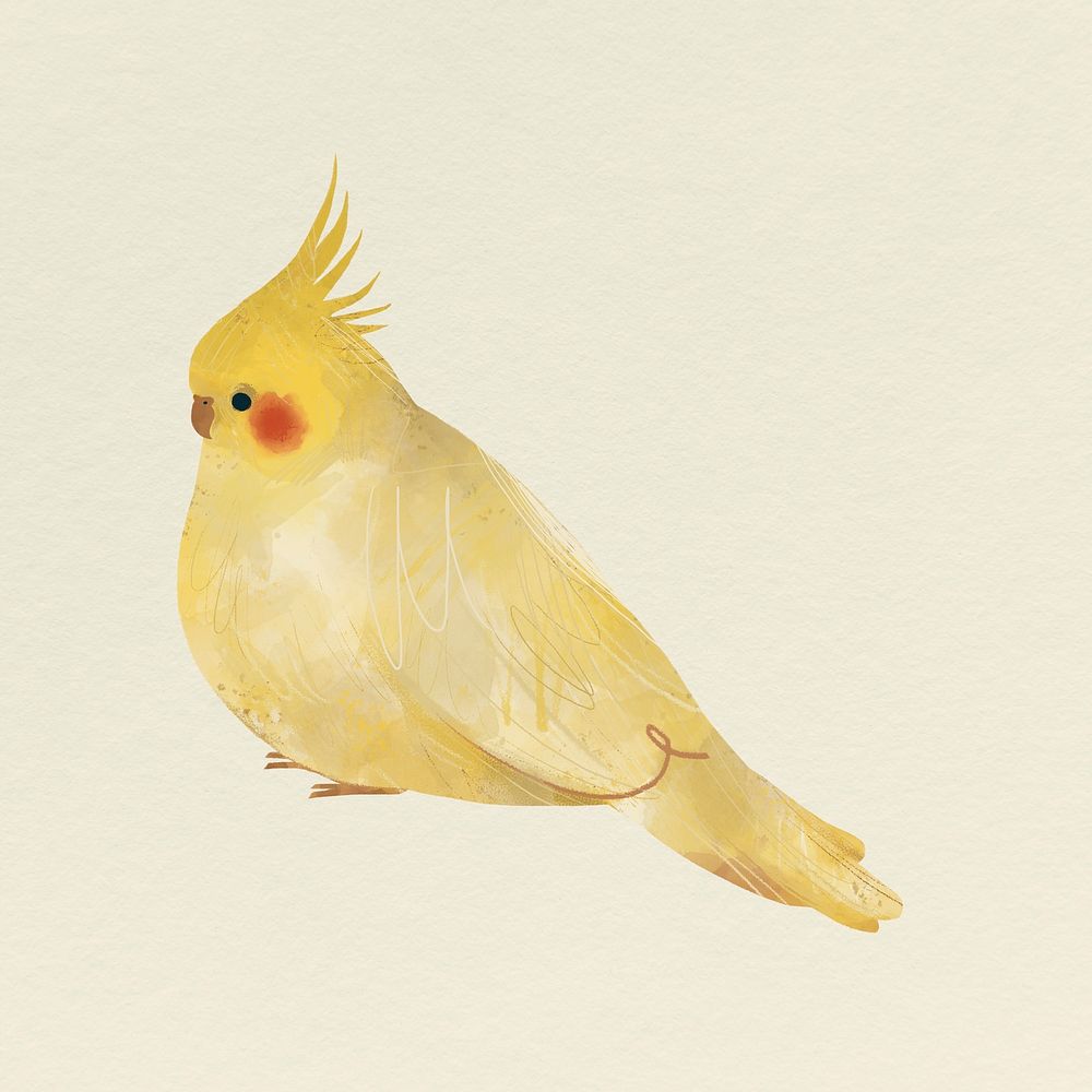 Yellow cockatiels painting on a beige background vector