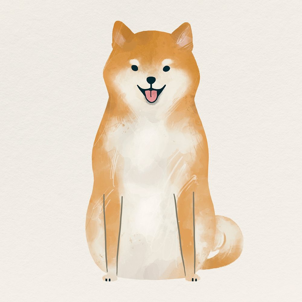 Shiba Inu dog drawing on white background