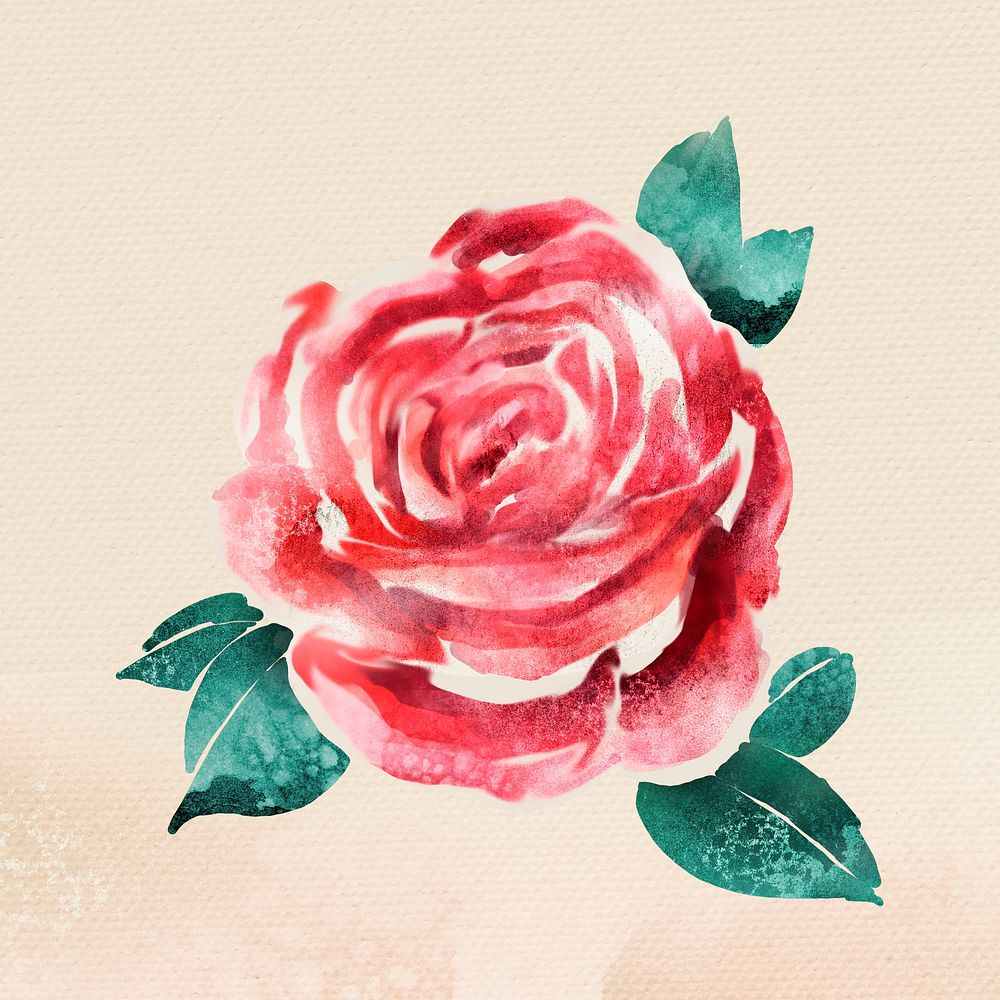 Watercolor red rose flower sticker overlay
