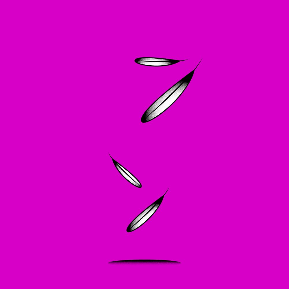 Four falling bird feather element on a purple background vector
