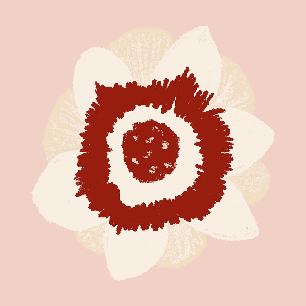Anemone white flower sticker vector hand drawn illustration