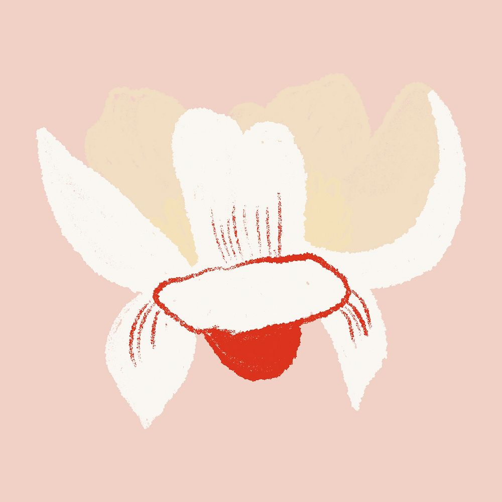 Magnolia white flower sticker vector hand drawn illustration