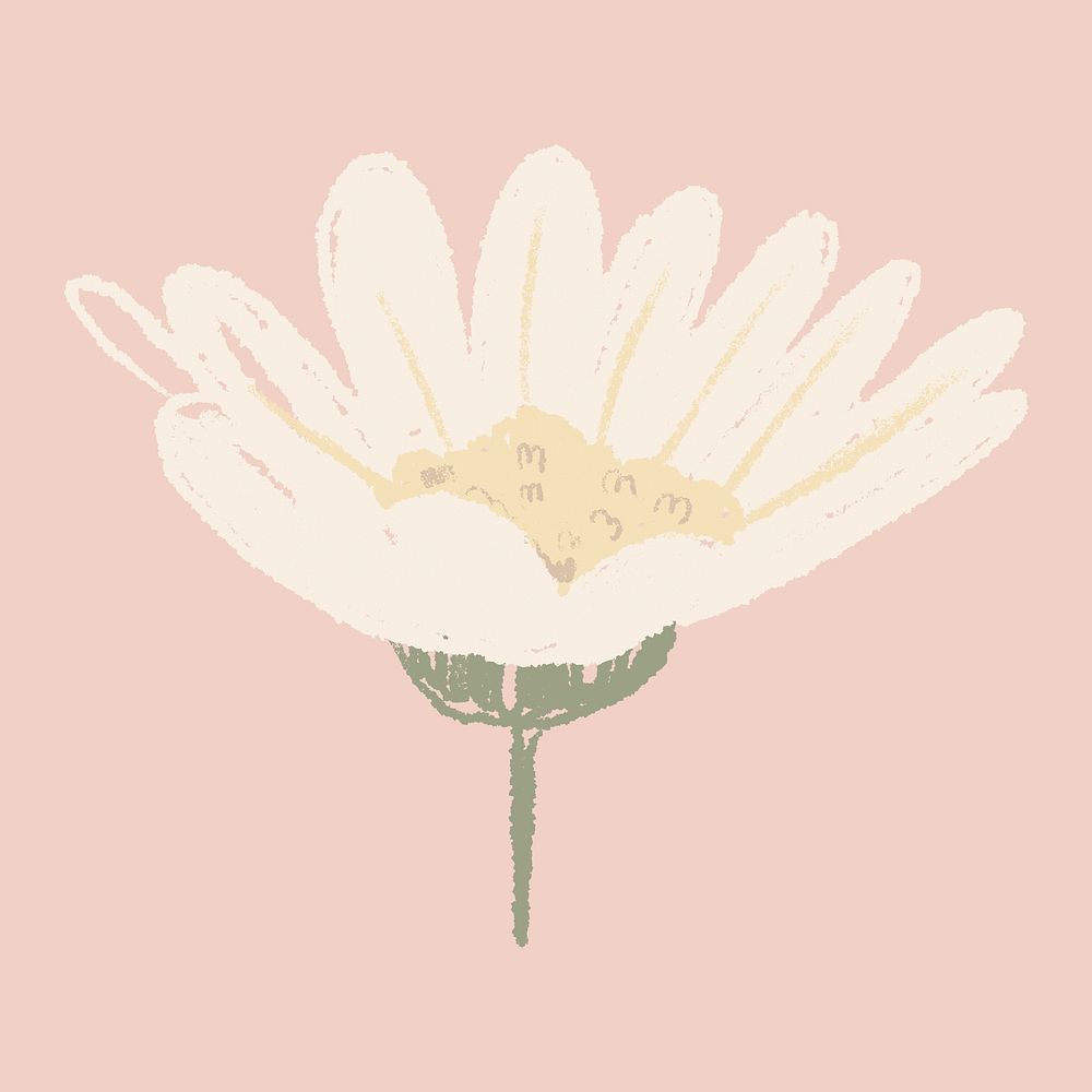 Daisy white flower sticker vector hand drawn illustration