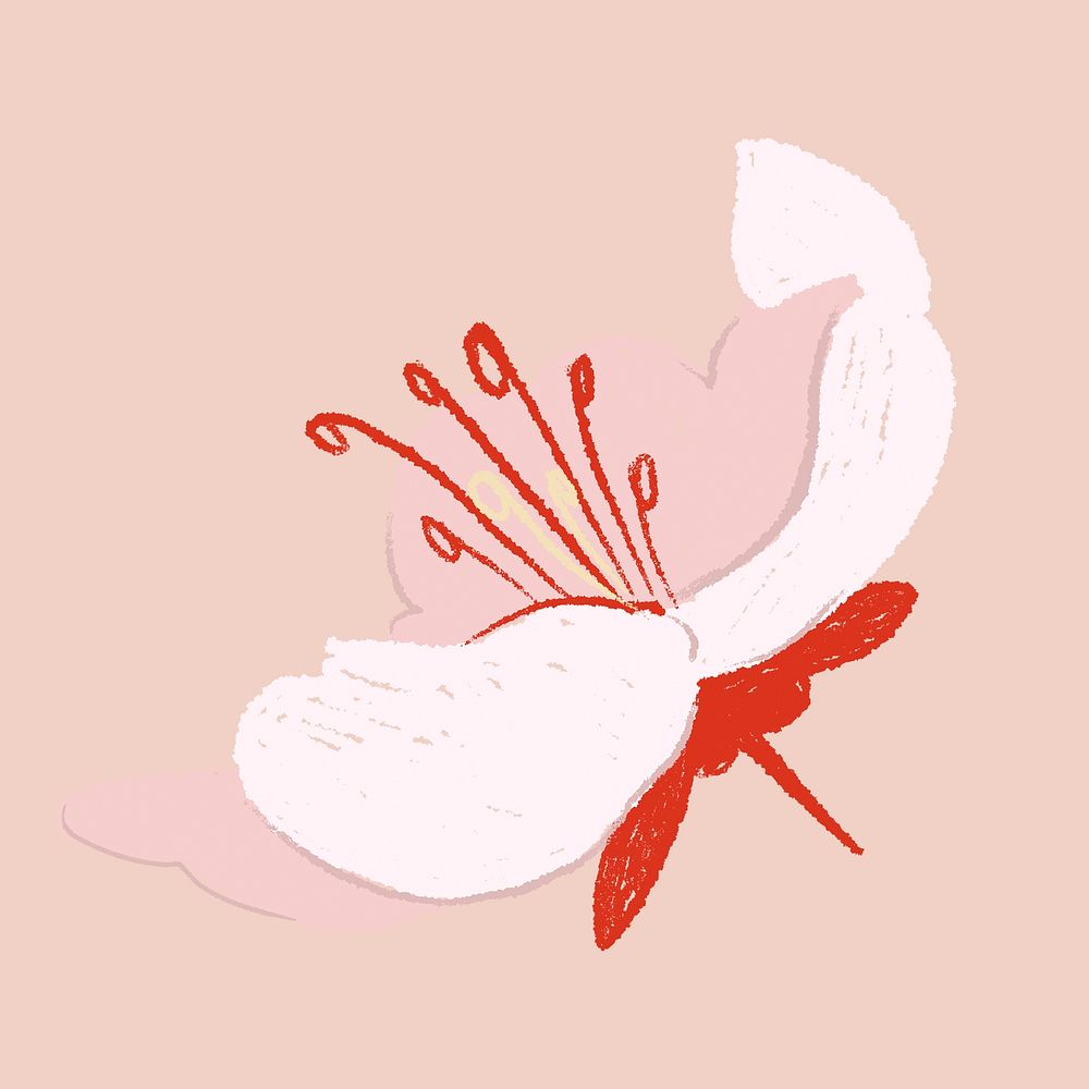 Cherry blossom pink sticker vector hand drawn flower illustration