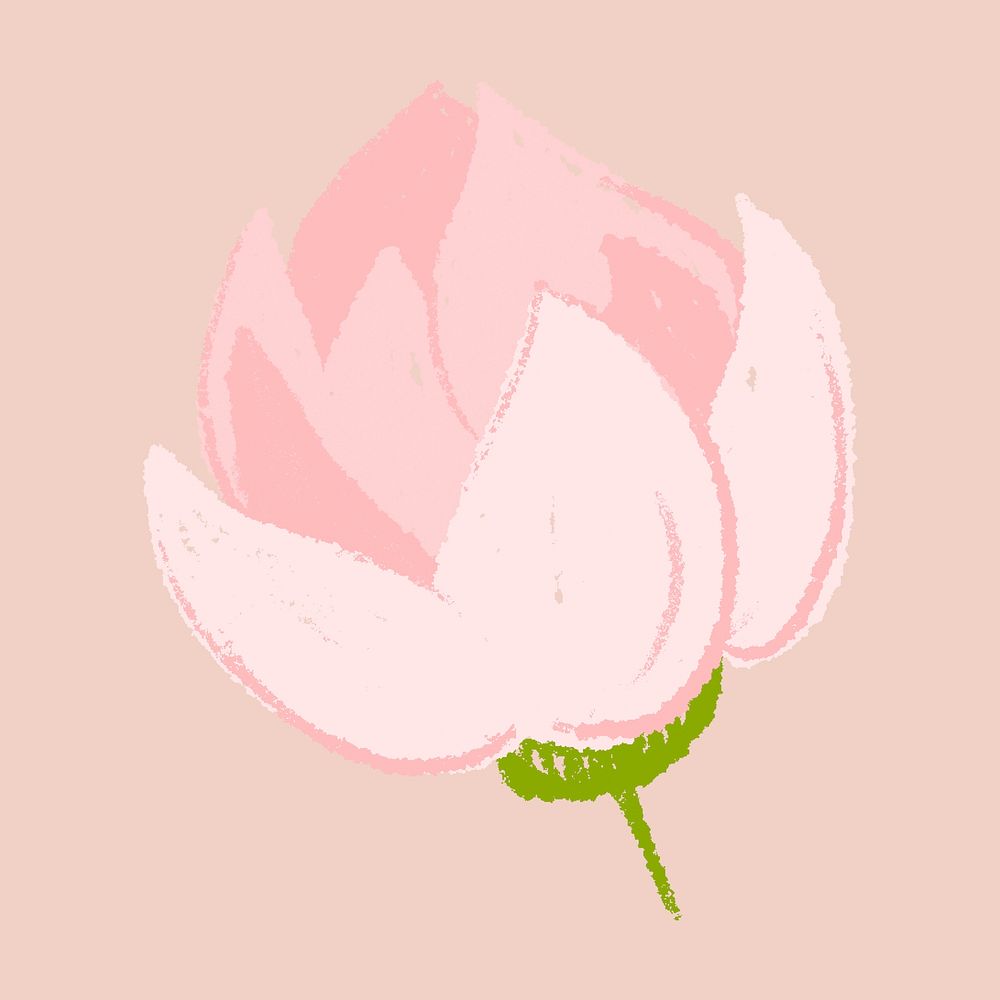 Lotus pink flower hand drawn illustration
