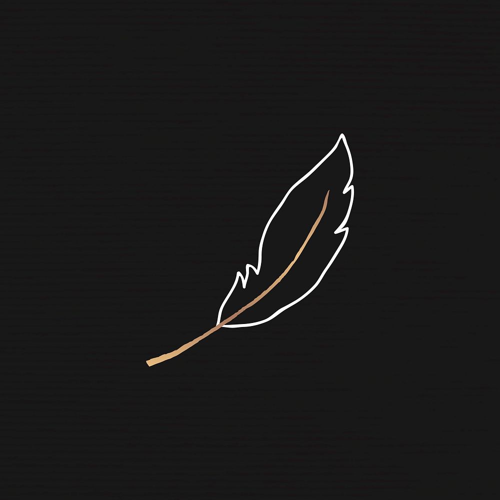 Feather logo mystical magic clipart illustration minimal drawing