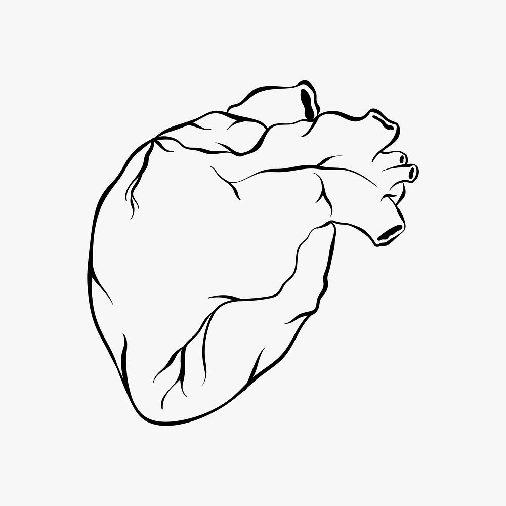Vintage black and white heart organ old school flash tattoo design symbol vector