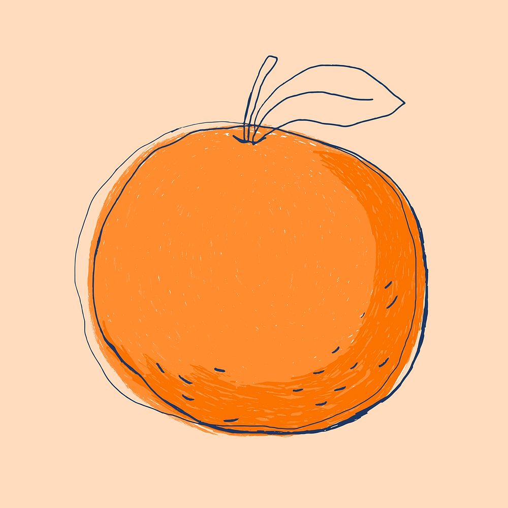 Minimal doodle art fruit orange