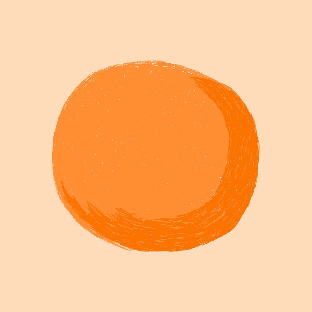 Colorful hand drawn orange fruit vector