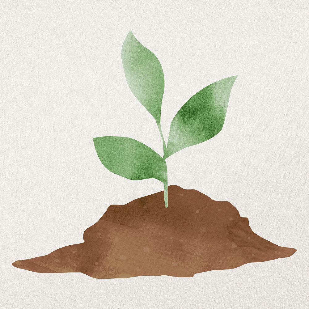 Green plant with soil psd design element
