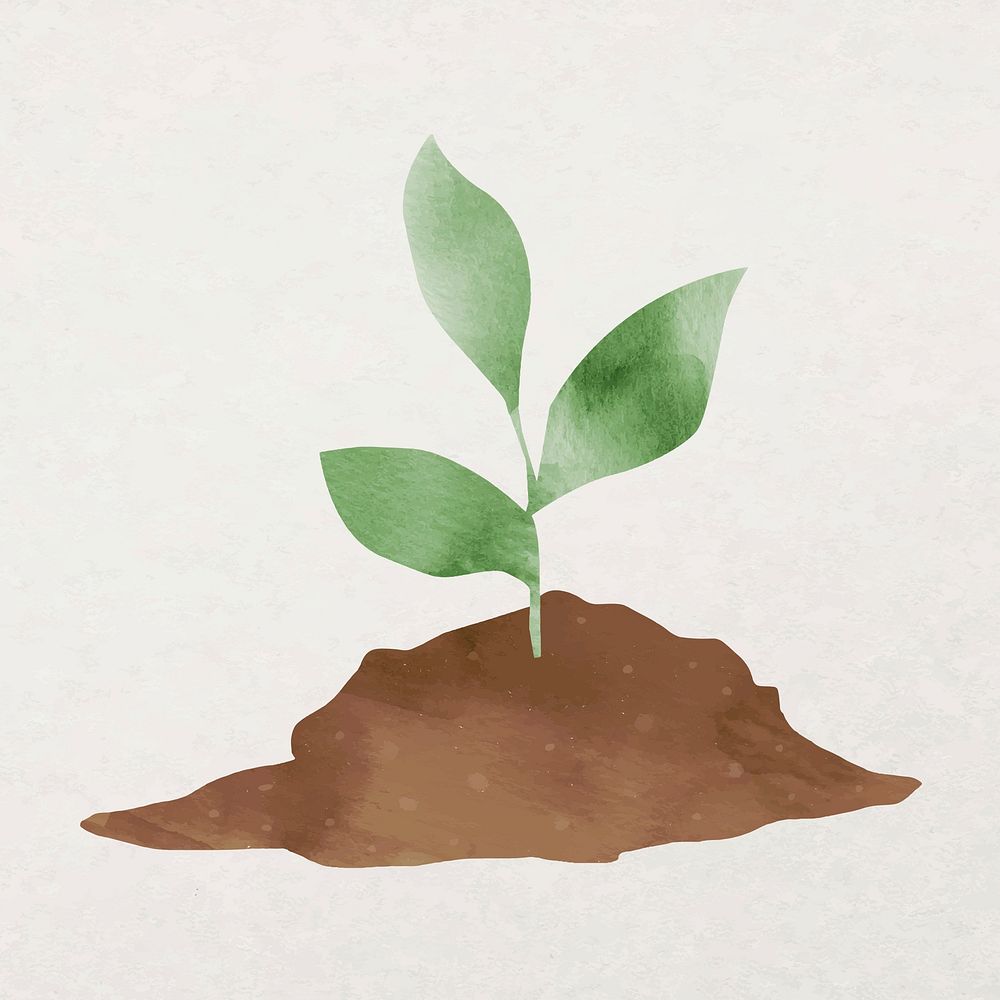Green plant with soil vector design element