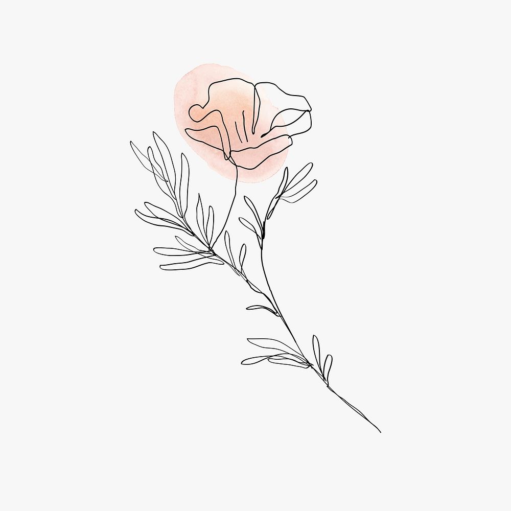 Poppy flower line art minimal orange pastel illustration