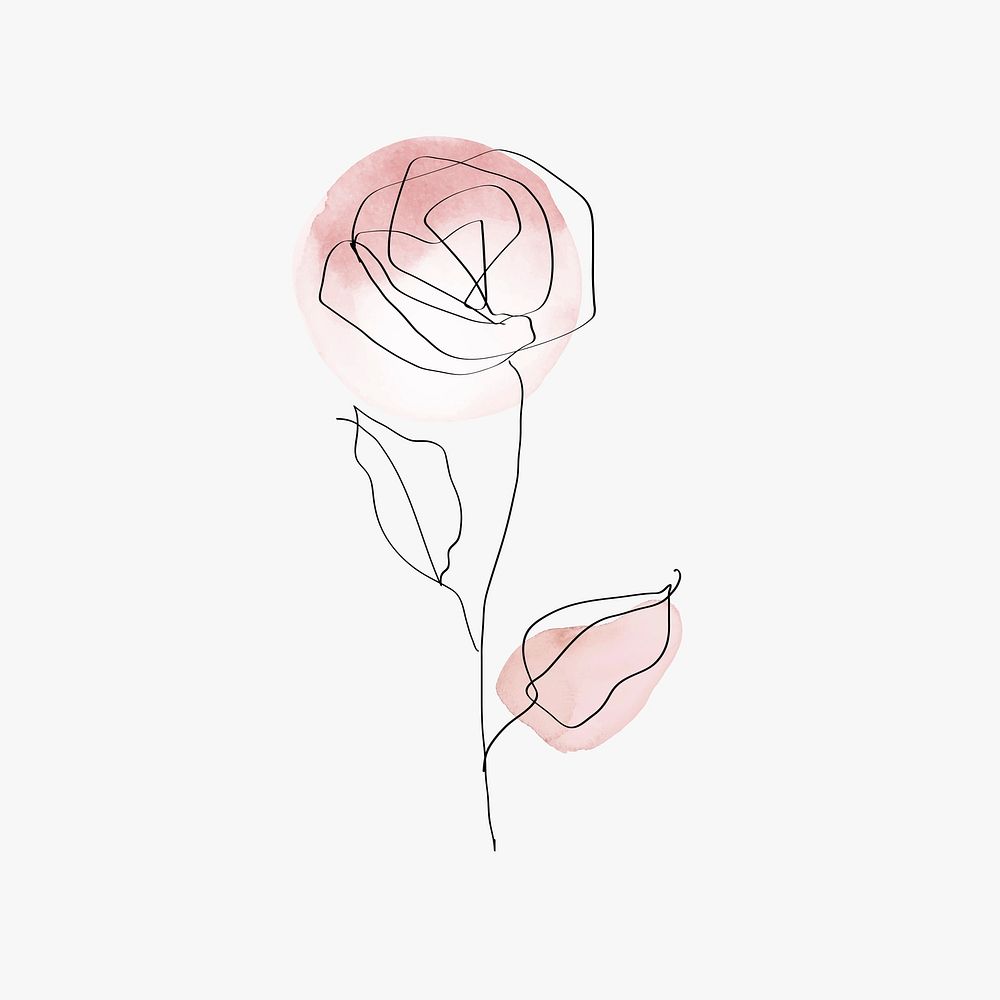 Rose flower line art minimal pink pastel illustration