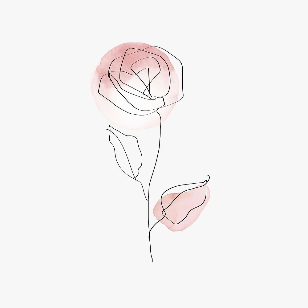 Rose flower psd line art minimal pink pastel illustration