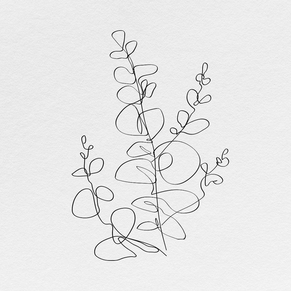 Eucalyptus leaf psd line art minimal black illustration
