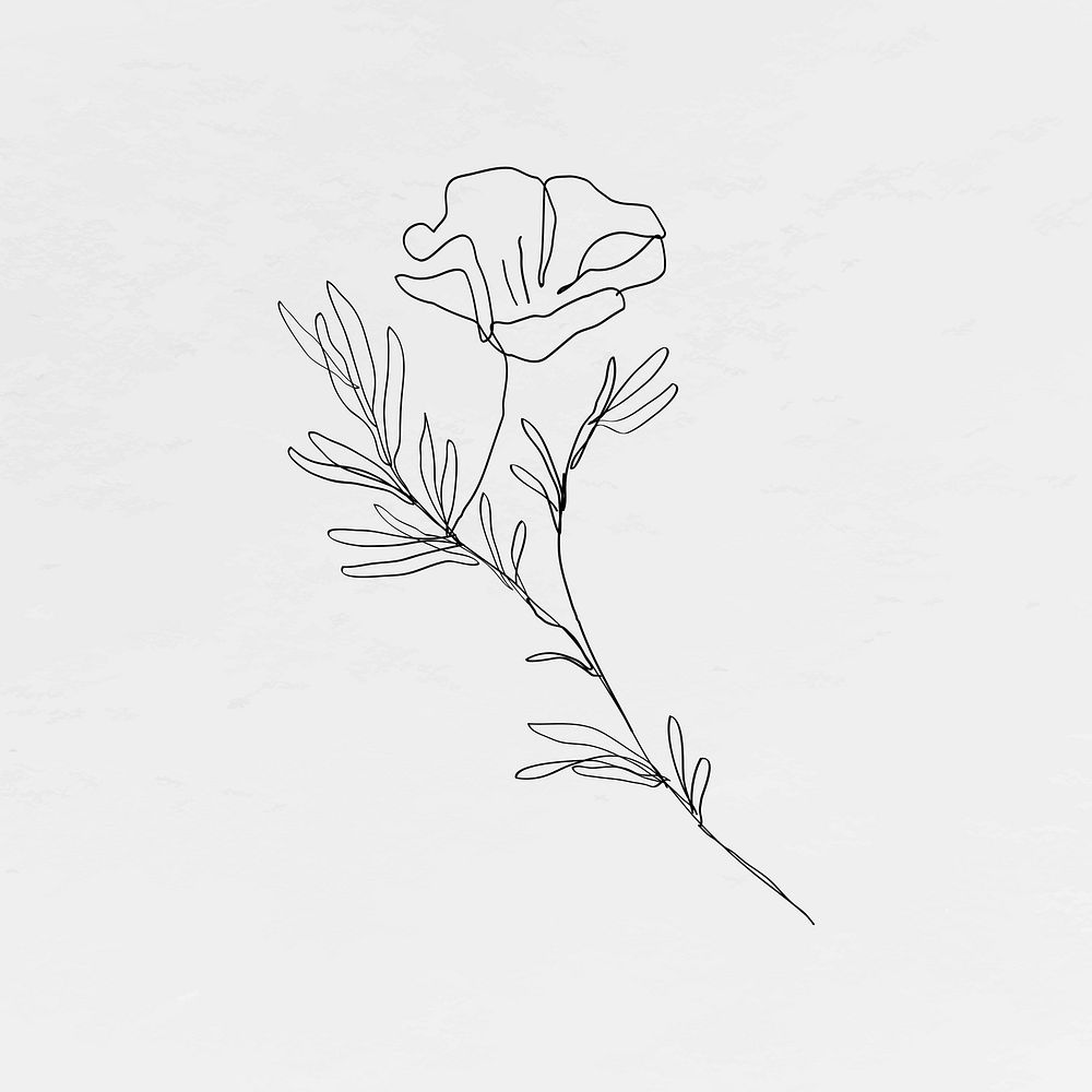 Poppy flower line art minimal black illustration