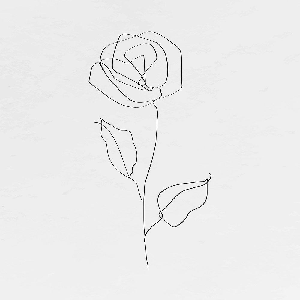Rose flower line art minimal black illustration
