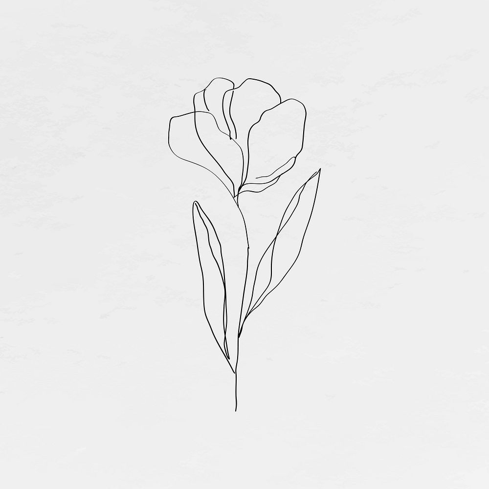 Tulip flower line art minimal black illustration