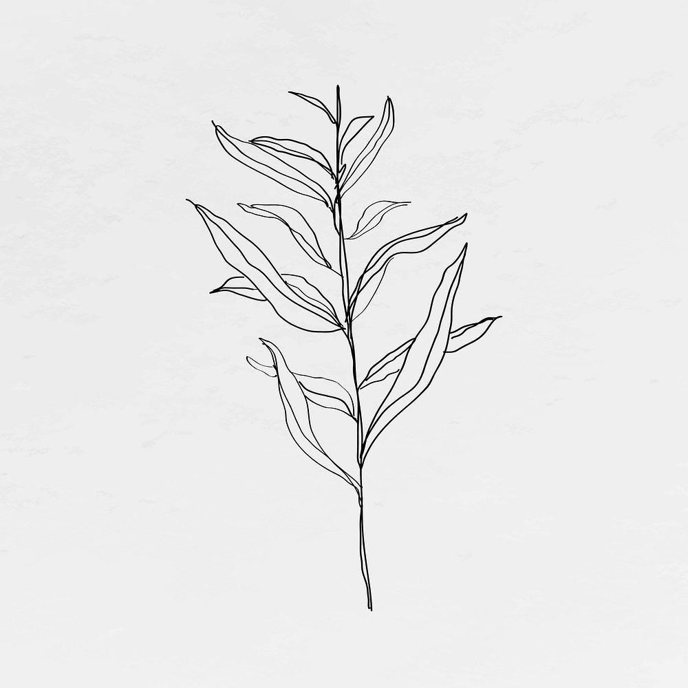 Leaf line art minimal black illustration