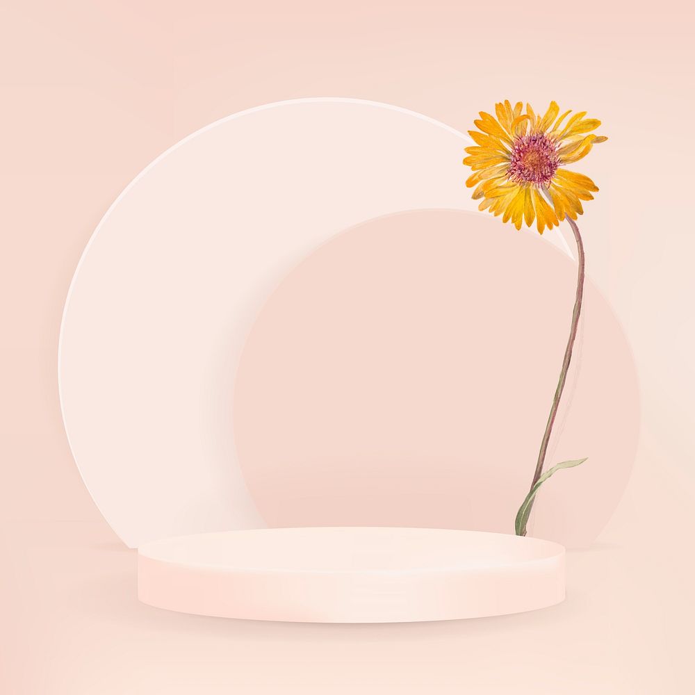3D product backdrop simple style with podium and yellow daisy