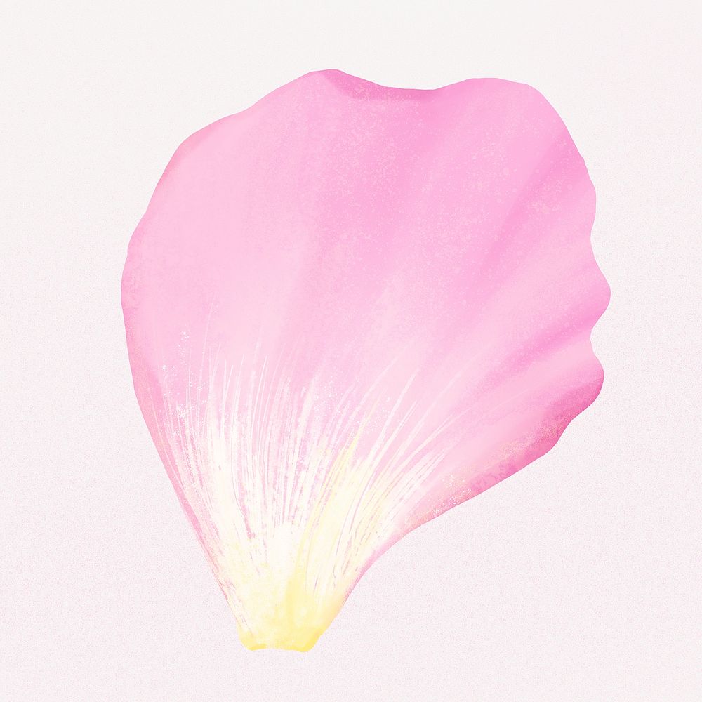 Pink flower petal illustration