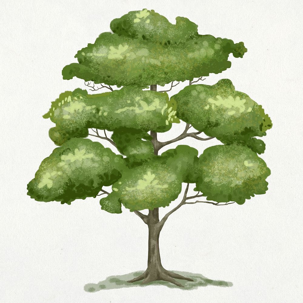 Elm tree element graphic on plain background