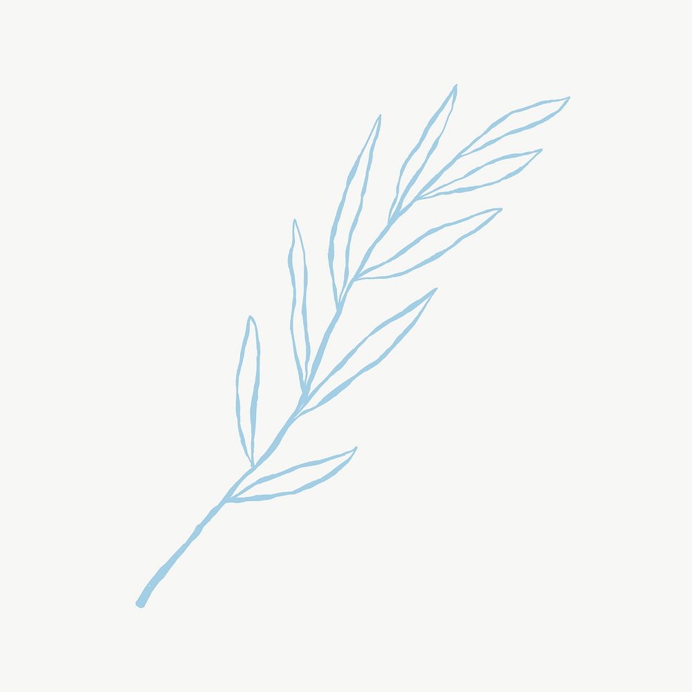 Eucalyptus leaf branch vector aesthetic doodle illustration