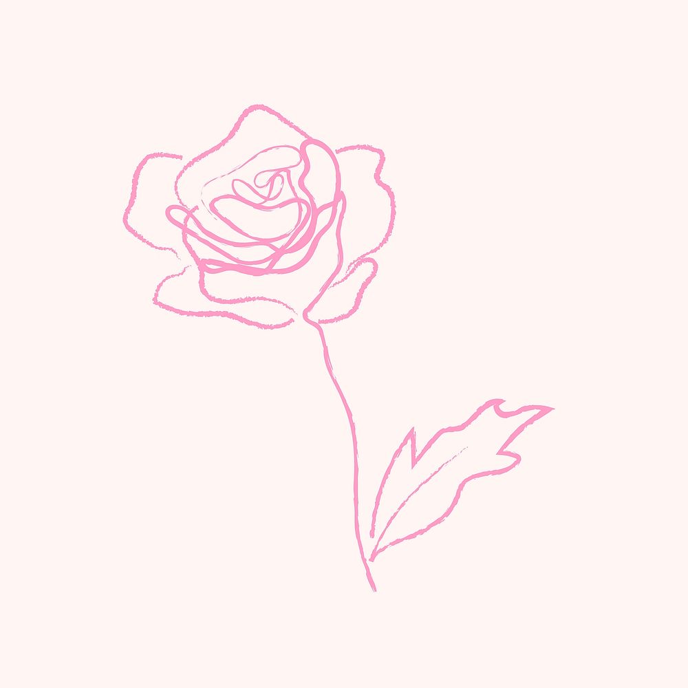 Pink rose floral illustration on beige background