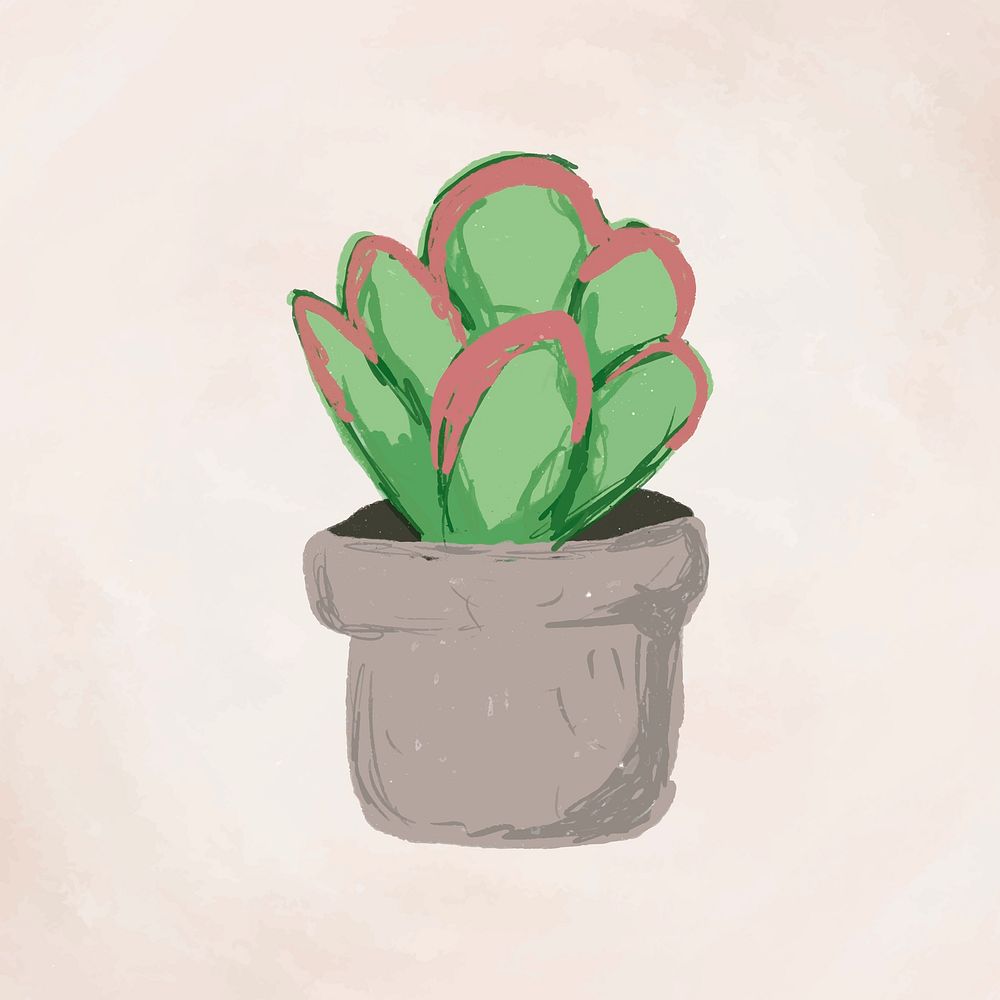 Cute potted plant element Kalanchoe luciae flapjacks in hand drawn style