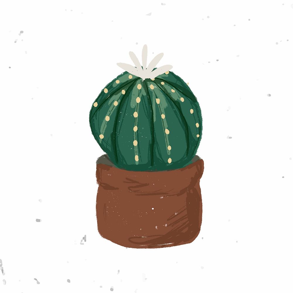 Cute potted plant element Astrophytum asterias in hand drawn style