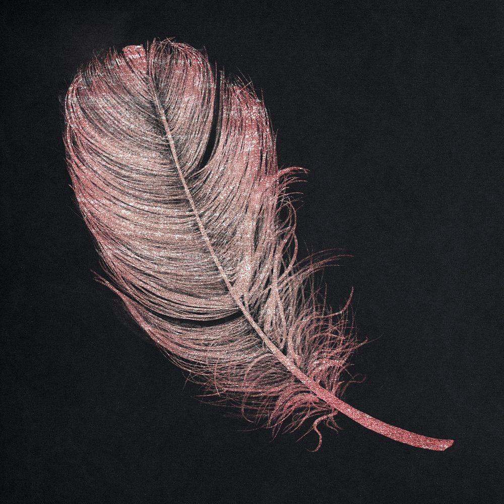 Pink glittery feather in black background
