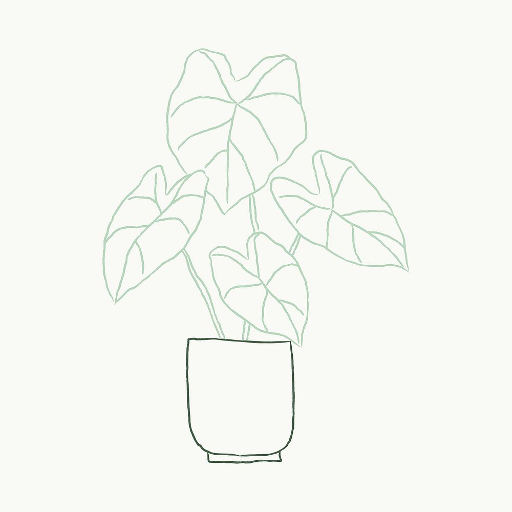 Potted plant houseplant doodle caladium 