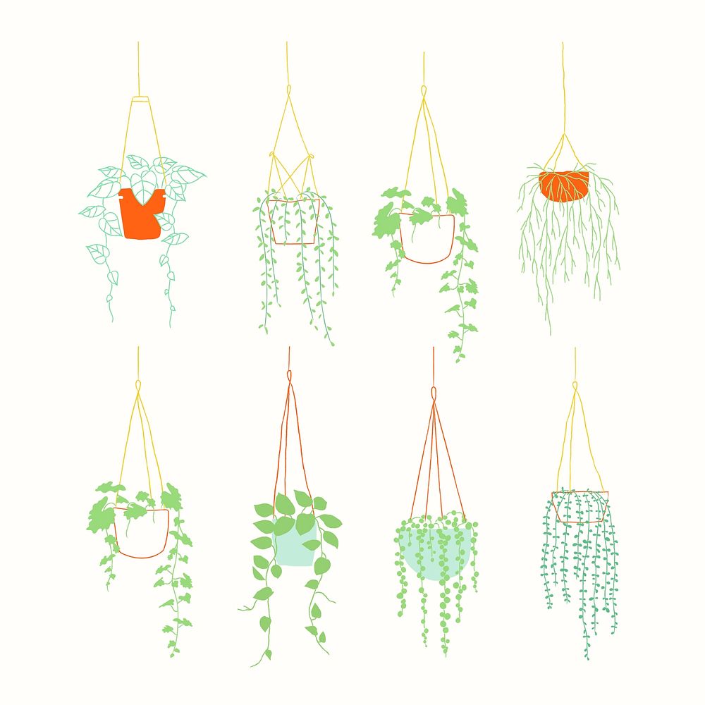 Hanging plant doodle set vector