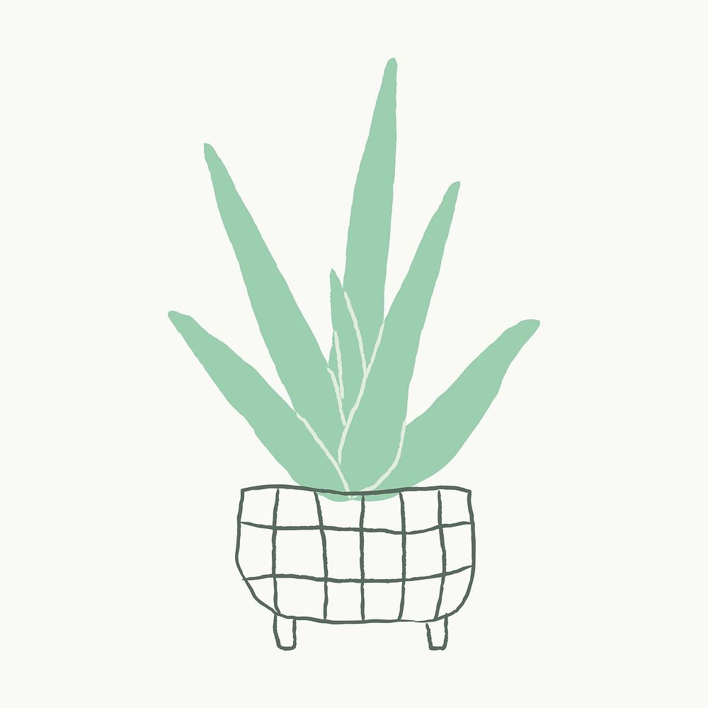 Aloe vera houseplant succulent vector doodle