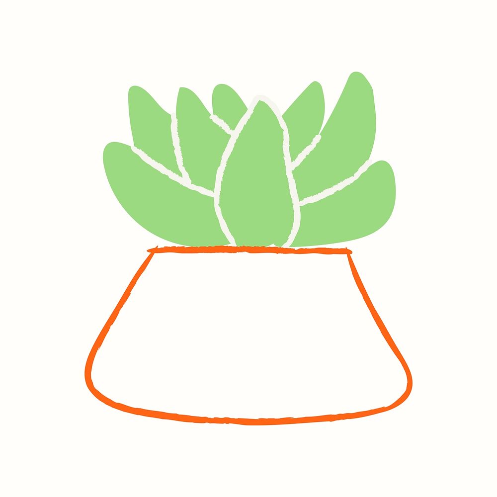 Zebra succulent vector doodle hand drawn