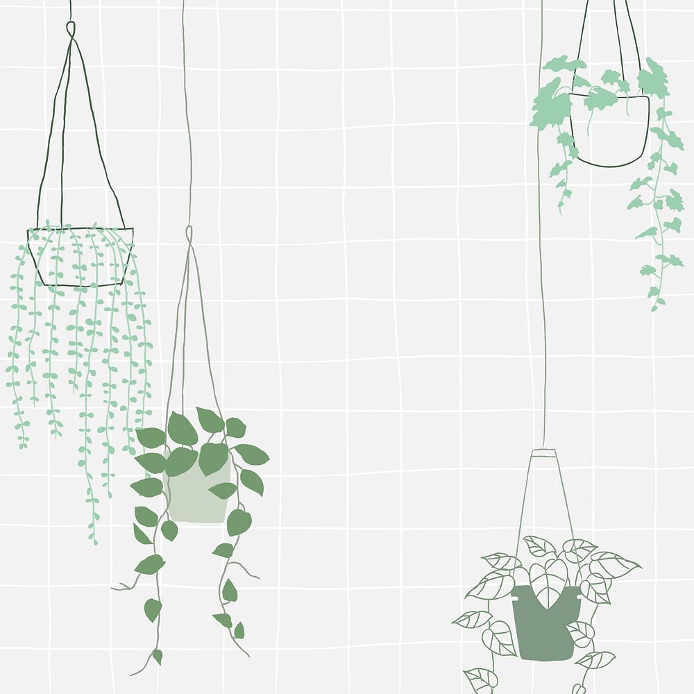 Hanging plant doodle in grid background