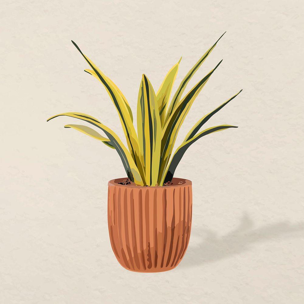 Plant vector art, snake plant in a flower pot