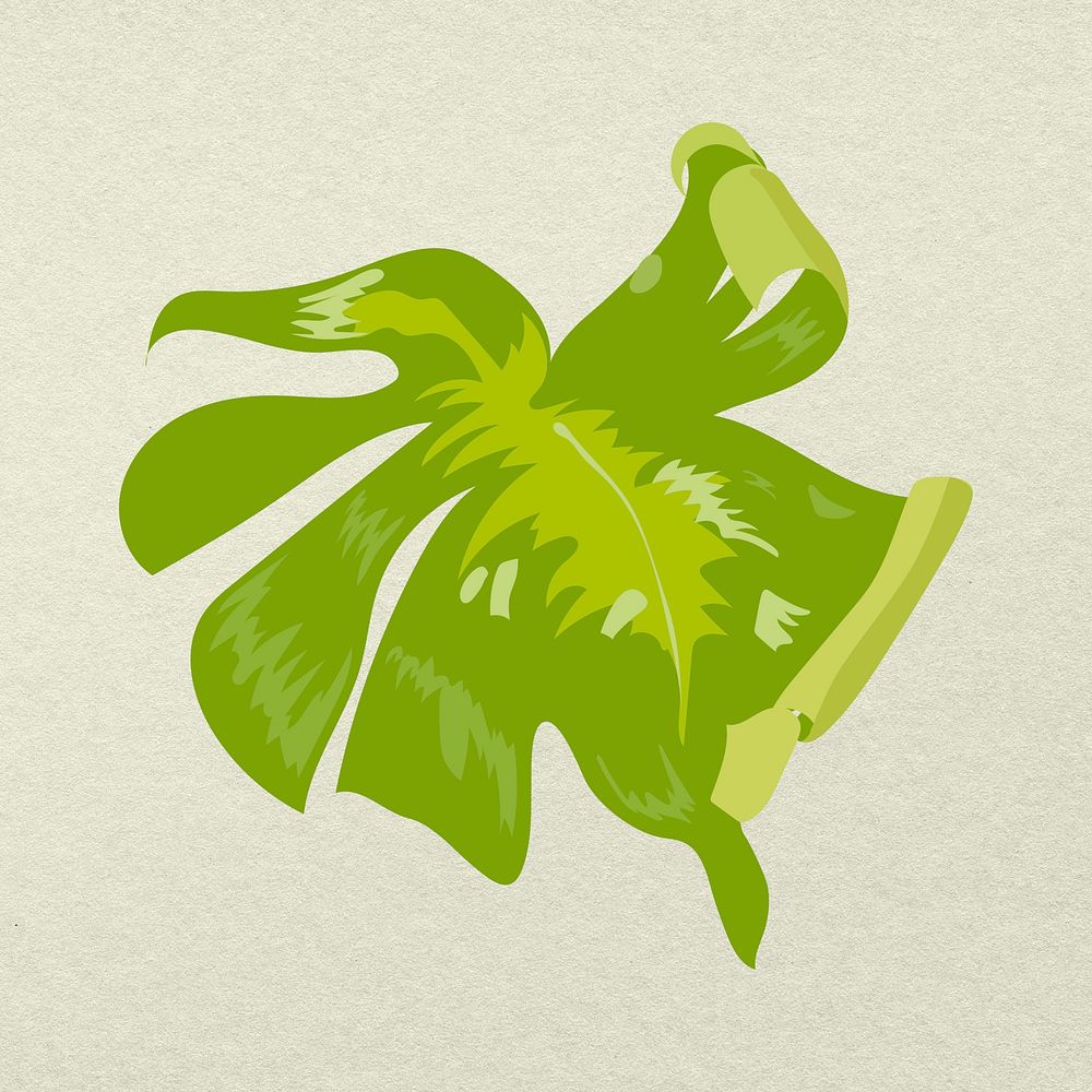Leaf image, green Monstera plant