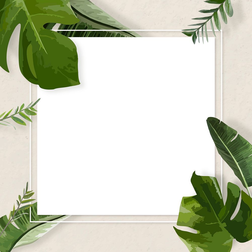 Green leaf frame vector border, Monstera plant