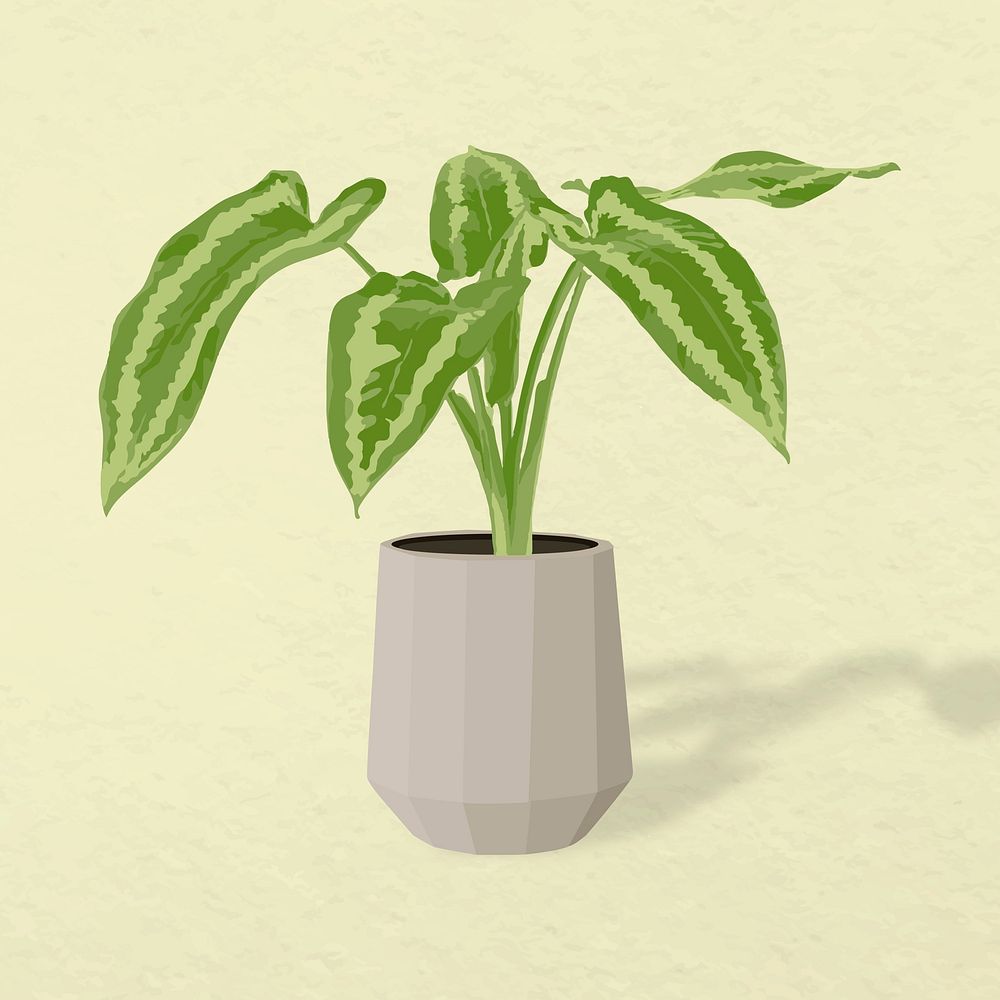 Potted plant vector image, Alocasia potted home interior decoration