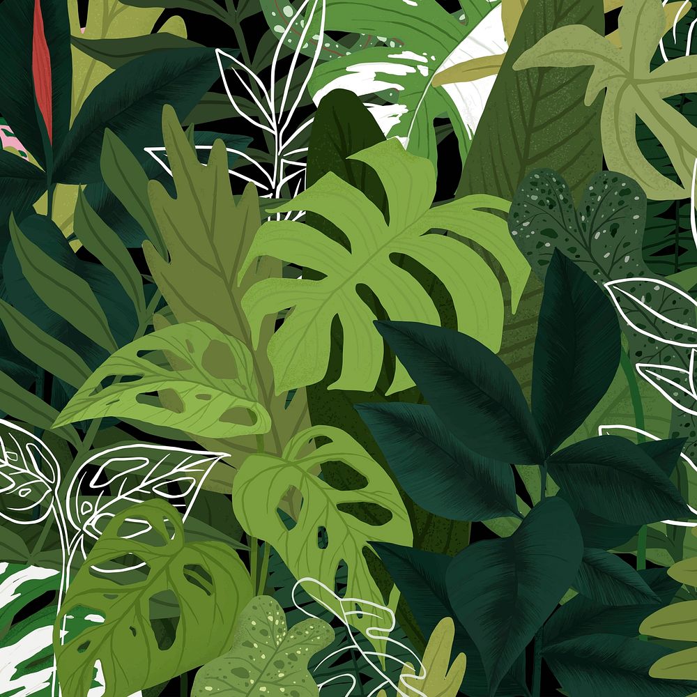 Houseplant background leaf botanical illustration