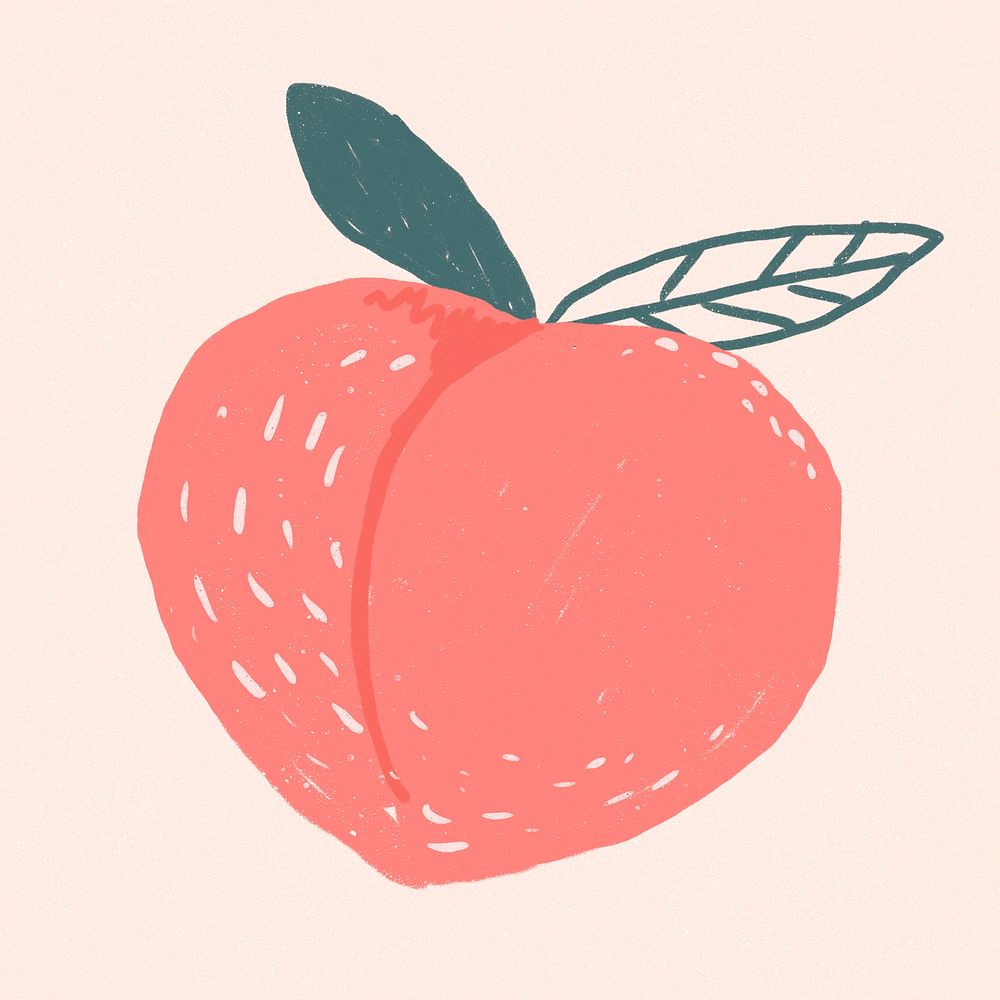 Cute peach fruit doodle drawing