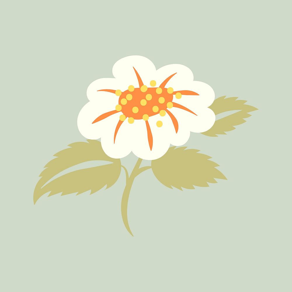 White flower, cute spring illustration