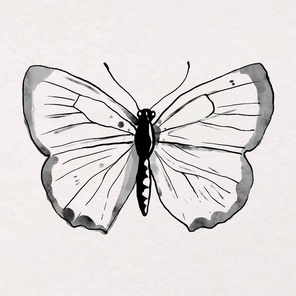 Ink line butterfly sticker illustration vector