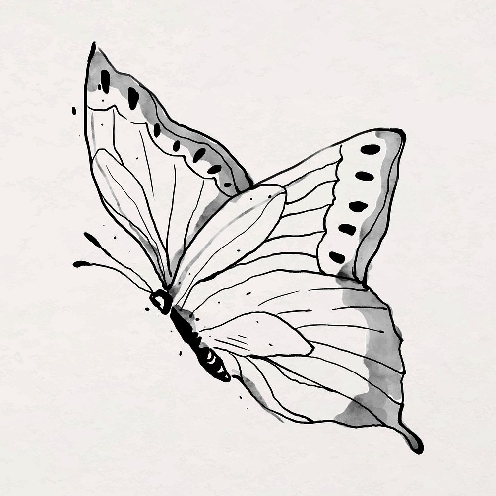 Ink line butterfly sticker illustration vector