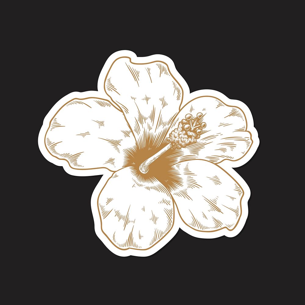 Gold and white hibiscus flower sticker with a white border vector