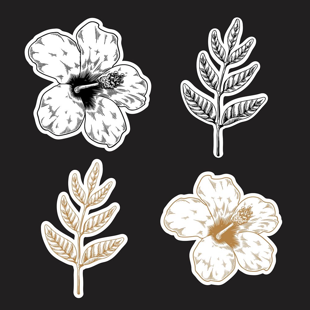 Black and gold hibiscus and leaf sticker with a white border vector set