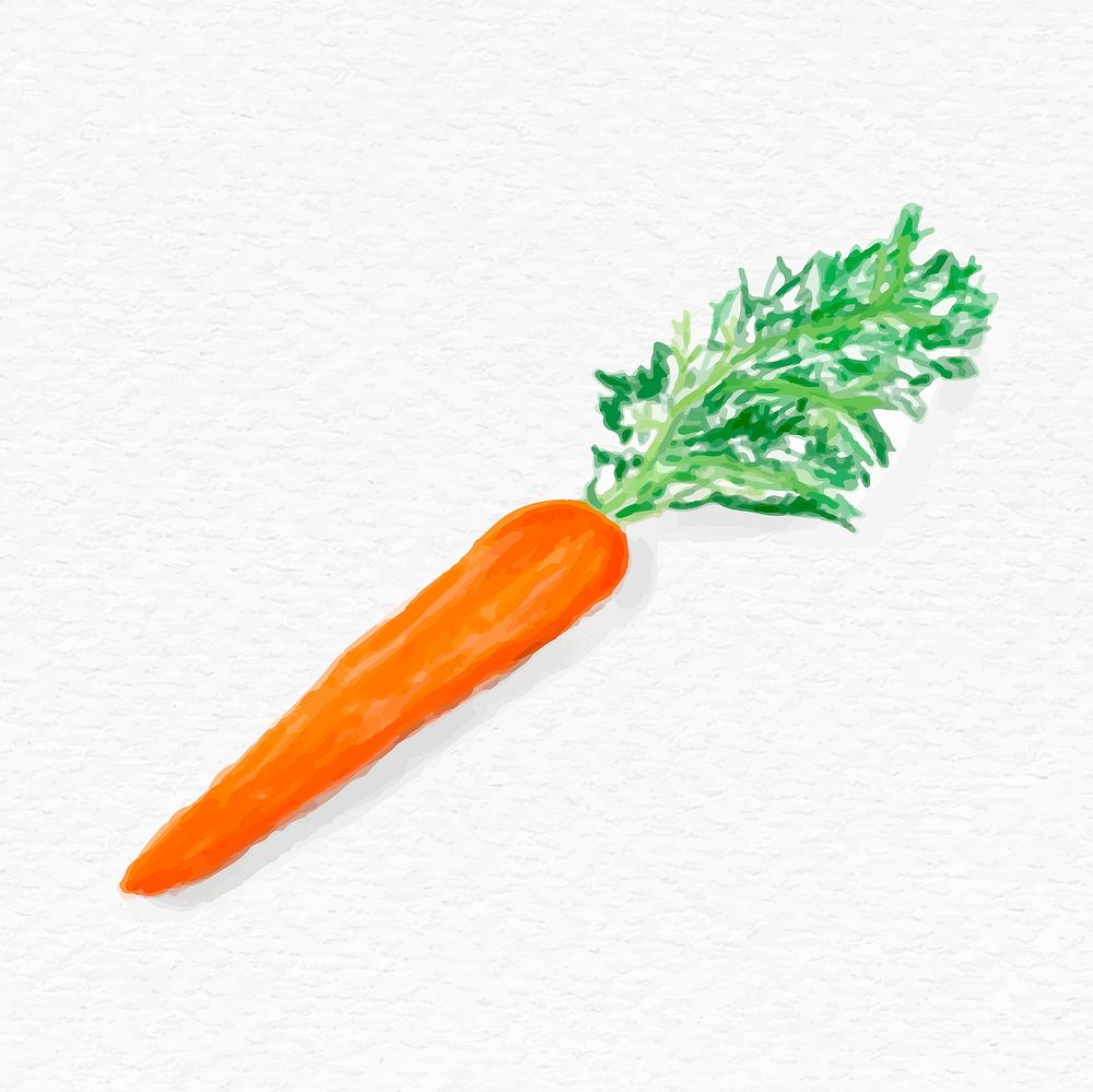 Colorful carrot vegetable psd watercolor illustration