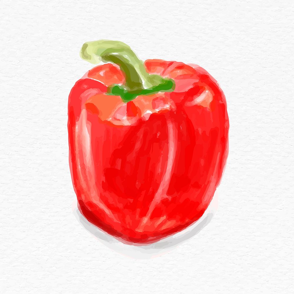 Watercolor red paprika psd hand drawn